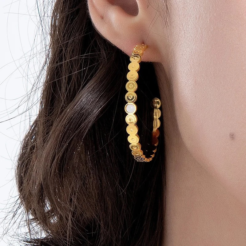 Earrings